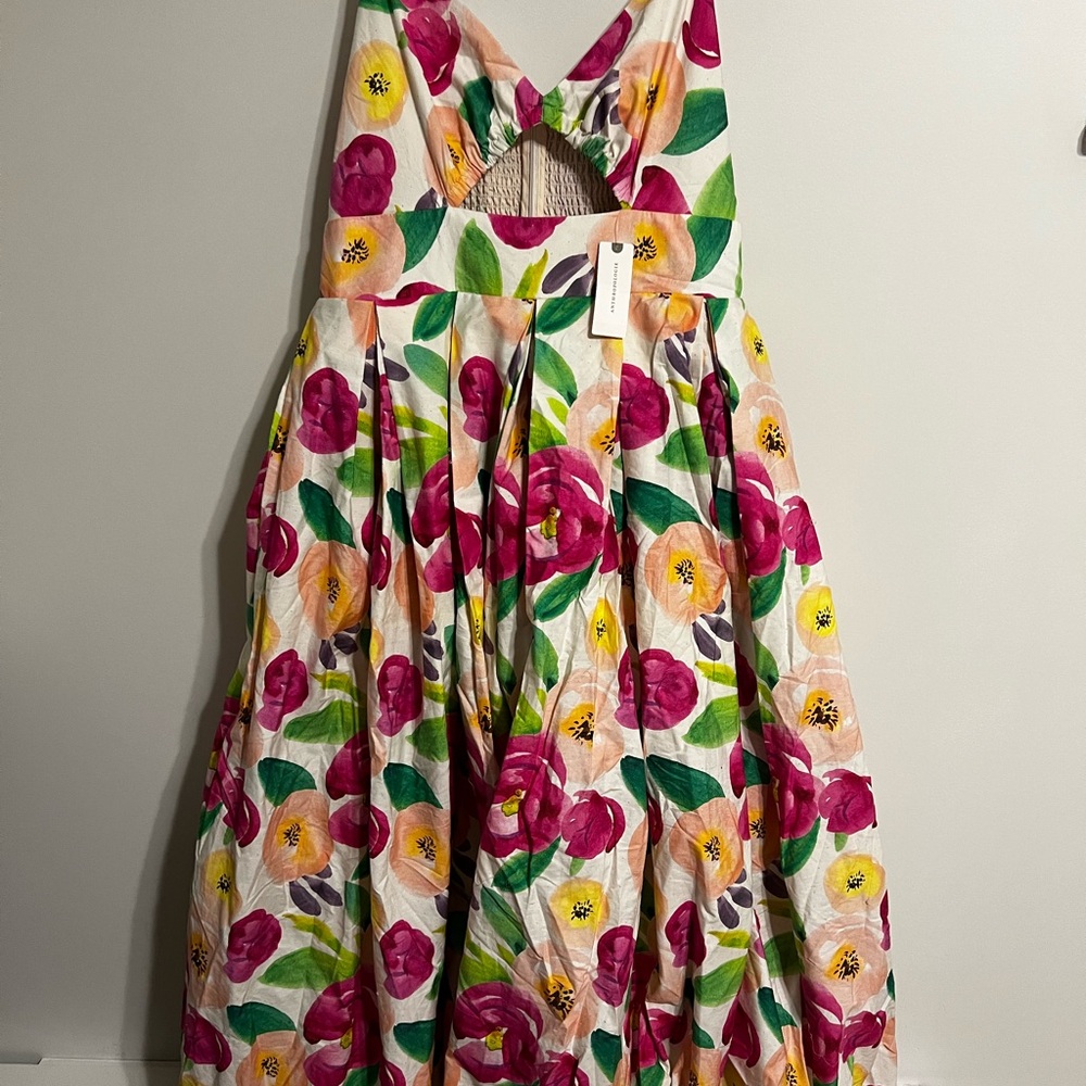 Anthropologie Women’s Sleeveless Balloon Midi Floral Size L Nwt